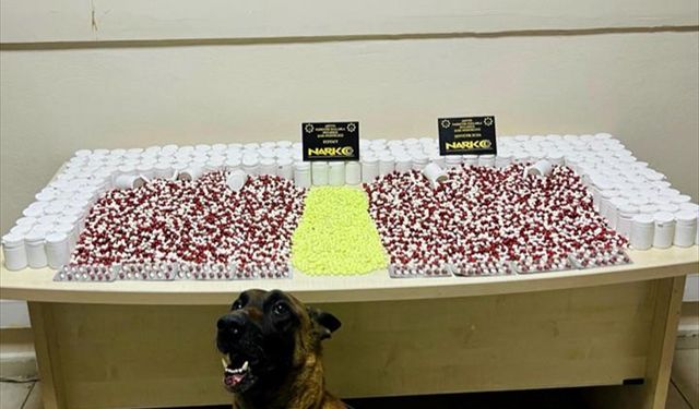 Artvin'de yasaklı madde operasyonunda 1 şüpheli gözaltına alındı