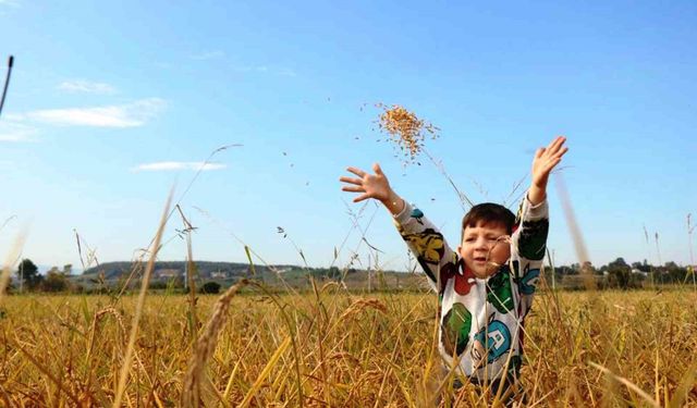 Samsun'da tarımsal üretime 6 milyara yakın destek ödemesi yapıldı