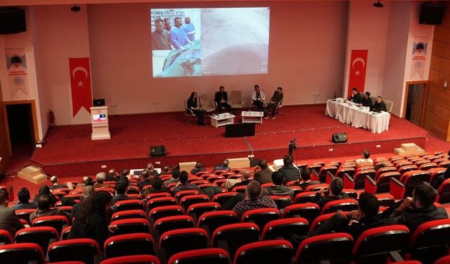 'Zor Vakalar, Canlı Çözümler'