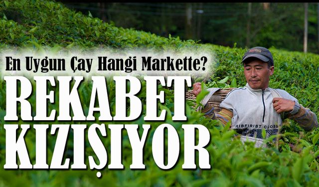 En Uygun Çay Hangi Markette? 2026 Güncel Çay Fiyatları Karşılaştırması