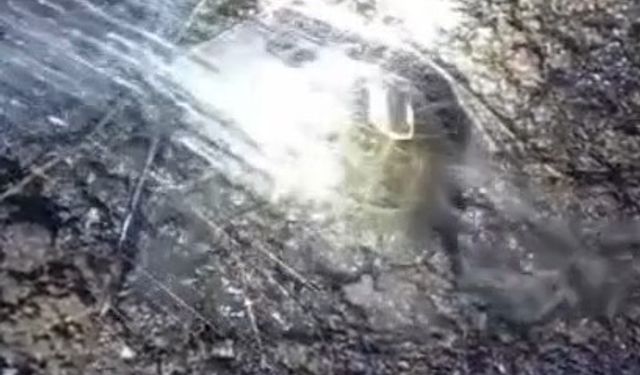 Samsun'da örtü yangınında alevlerin arasında kalan kaplumbağayı itfaiye kurtardı