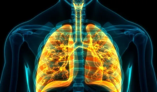 KOAH riski sigara ile artıyor