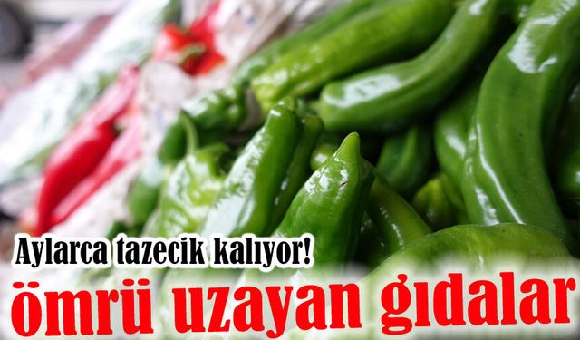 Dondurucuya Atın, Aylarca Taze Kalsın: En Çok İsraf Edilen Gıdalar İçin Pratik Çözüm