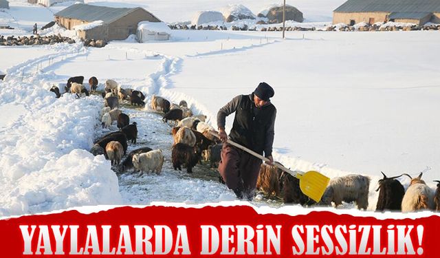 Yaylalarda Derin Sessizlik! Yazın Cıvıltısı Yerini Beyaz Huzura Bıraktı