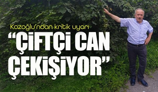 Hasan Kozoğlu’ndan kritik uyarı: Tarımda alarm zilleri çalıyor