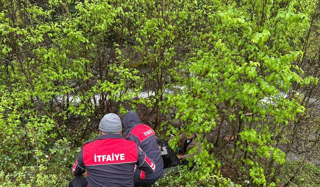 Artvin'de dereye devrilen otomobilin sürücüsü yaralandı