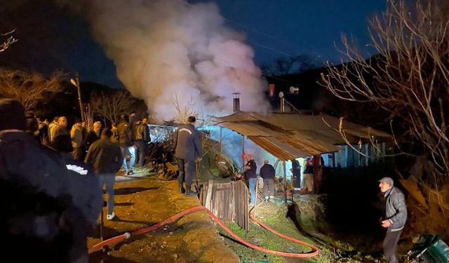 Artvin'de evde çıkan yangın söndürüldü