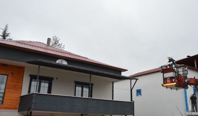 Çatıda mahsur kalan kedinin imdadına itfaiye ekipleri yetişti