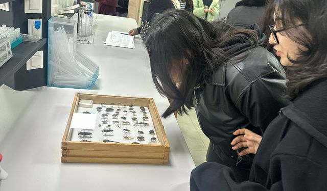 Karadeniz Tarımsal Araştırma Enstitüsü öğrencileri tarım ve bilimle buluşturuyor