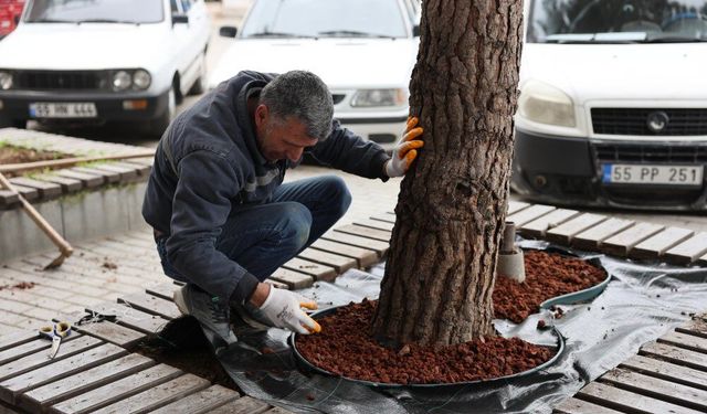 Vezirköprü Belediyesi peyzaj çalışmalarına devam ediyor