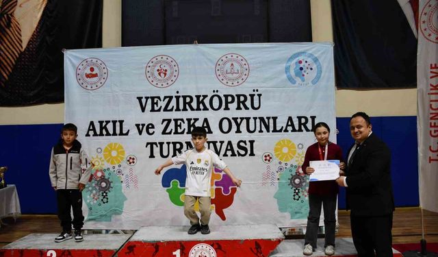Akıl ve Zekâ Oyunları Turnuvası