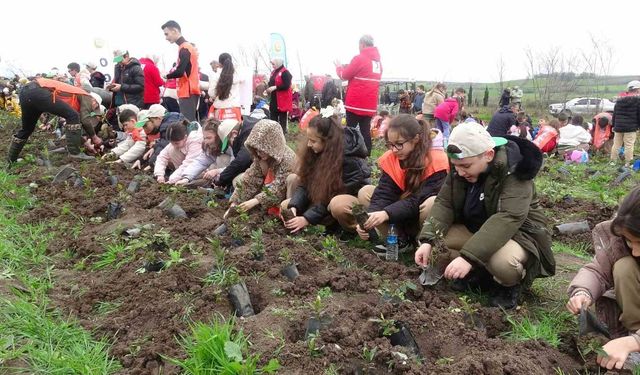 Bafra'da minik eller 3 bin fidanı toprakla buluşturdu
