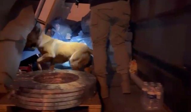 Marş dinamosundan yasaklı madde çıktı: Narkotik köpeği Pera'nın dikkati ele verdi