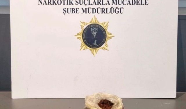 Samsun'da 3 ilçede narkotik operasyonu