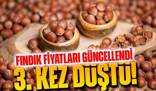 Fındık Fiyatları Güncellendi! Üretici Endişeli, Düşüş Sürüyor