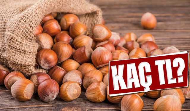 Bugün Fındık Kaç TL? Fiyatlar Yükselecek mi, Düşecek mi?