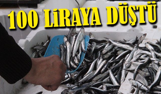 Trabzon Tezgahlarında Hamsi Bereketi: Fiyat 100 Liraya Düştü