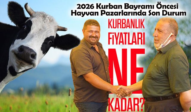 2026 Kurban Bayramı Öncesi Hayvan Pazarlarında Son Durum; Kurbanlık Fiyatları Ne Kadar