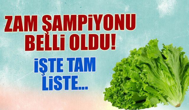Şubat Ayı Zam Şampiyonu Belli Oldu! İşte Tam Liste...