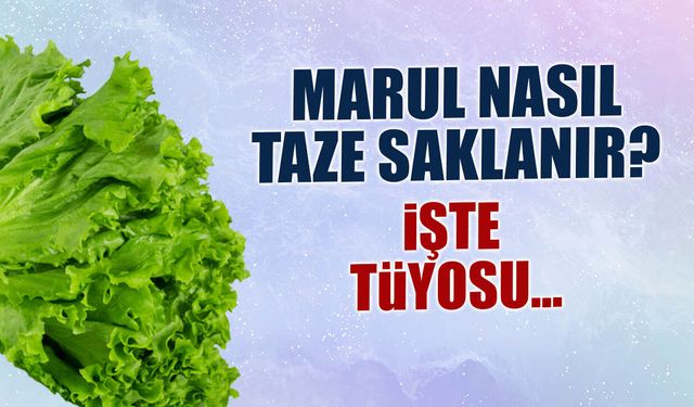 Marul Nasıl Taze Saklanır? İşte Tüyosu...