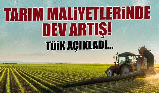 Çiftçinin Yükü Ağırlaşıyor: Tarım Maliyetlerinde %30'u Aşan Artış!