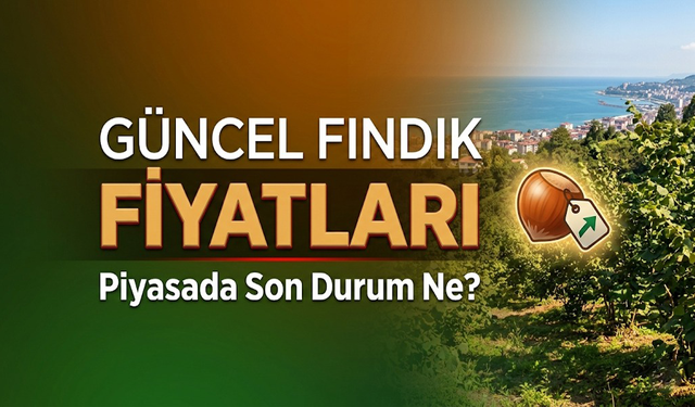 Fındıkta Gözler Yeni Haftada  Piyasada Son Durum Ne?
