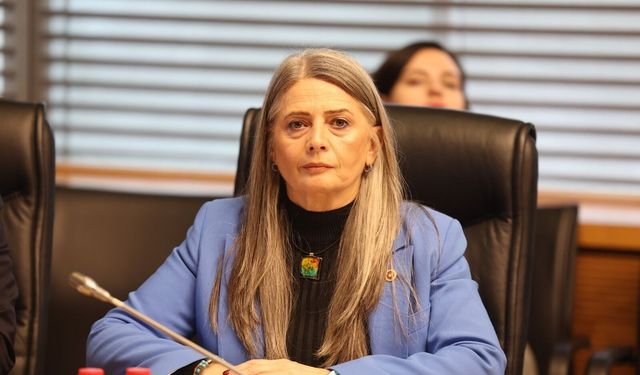 Suiçmez’den gazlı müdahale için Meclis’e soru önergesi