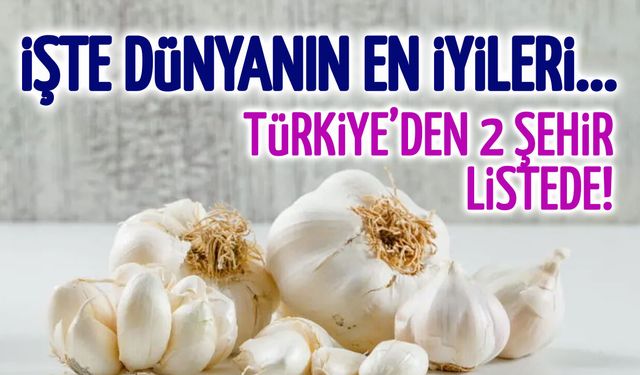 Dünyanın En İyi Sarımsakları Seçildi: Türkiye İlk 5’te!