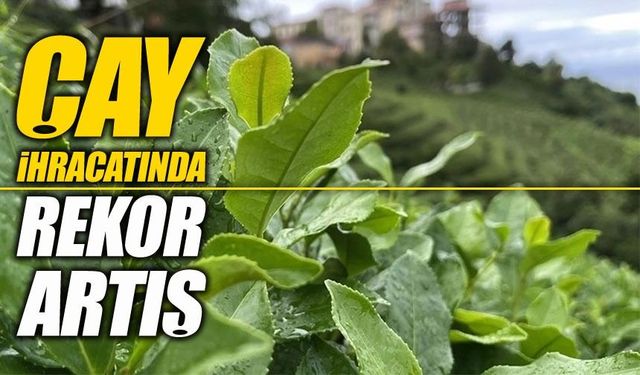 Türk çayına küresel talep artıyor: İlk çeyrek verileri açıklandı