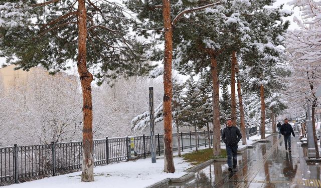 Bayburt'ta kar etkili oluyor
