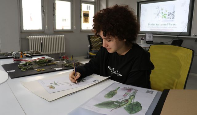 Ortaokul öğrencisi illüstrasyon tekniğiyle yayla bitkilerini dijital dünyaya taşıdı