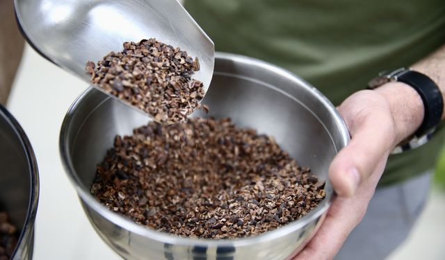 Yazılım mühendisi üç arkadaş, Türk fındığını Giresun'da çikolatayla buluşturdu