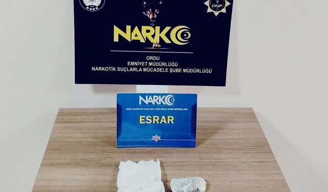 Ordu'da yasaklı madde operasyonunda 1 tutuklama