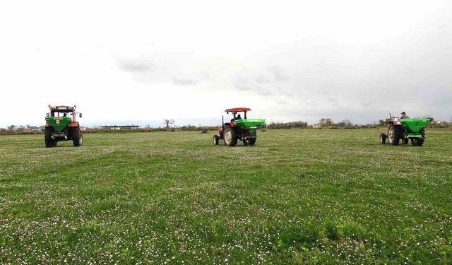 Samsun'da meralarda ıslah çalışmaları sürüyor