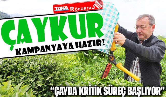 ÇAYKUR Kampanyaya Hazır! “Çayda Kritik Süreç Başlıyor”