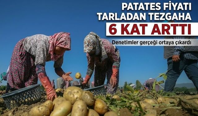 Patates Fiyatı Tarladan Tezgaha 6 Kat Arttı ;Denetimler gerçeği ortaya çıkardı