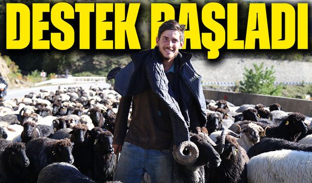 Küçükbaş Hayvancılıkta Dev Destek Başladı: 100 Hayvan ve Nakit Ödeme Fırsatı