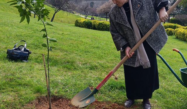 BULVAR DÜZENLEME İŞLERİ YAPTIRILACAKTIR