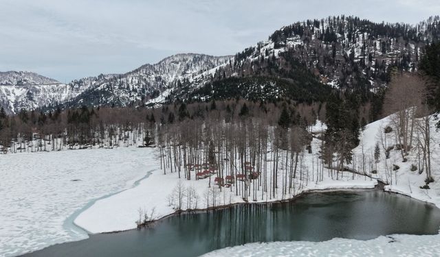 Borçka Karagöl, doğaseverleri büyülüyor: Bahar geldi, göl uyanıyor