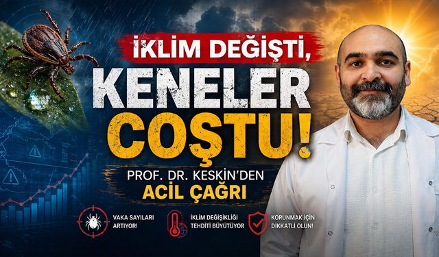 İklim Değişti, Keneler Coştu: Prof. Dr. Keskin’den Acil Çağrı