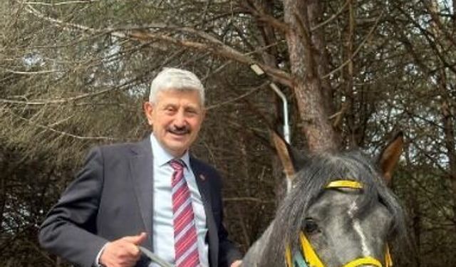 Başkan Çebi Turup'u At Üstünde İnceledi: Araklı'nın turizmi şahlanıyor