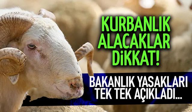 Kurbanlık Alacaklar Dikkat! Bakanlık Yasakları Tek Tek Sıraladı