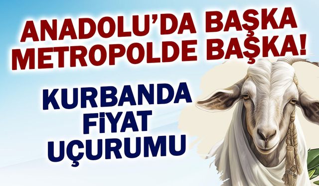 Anadolu'da Başka, Metropolde Başka! Kurbanda Fiyat Uçurumu