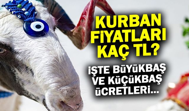 Kurban Hissesi Kaç TL? Büyükbaş ve Küçükbaş Güncel Liste