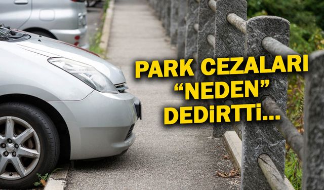 Park Cezaları ‘’Neden’’ Dedirtti