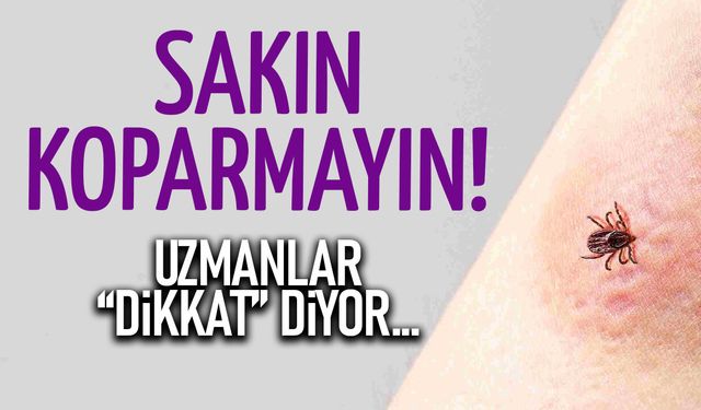 Kene Kabusu Geri Döndü: Tek Bir Yanlış Hayat Karartabilir!