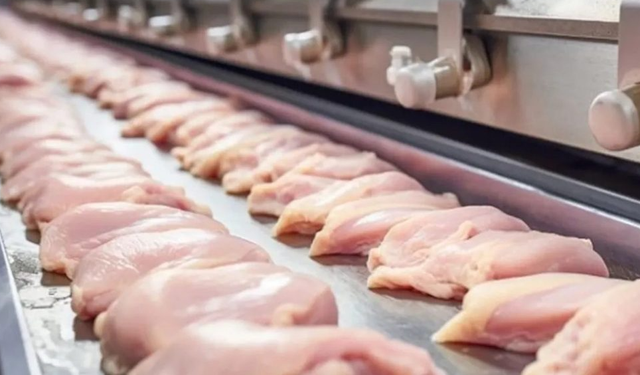 TÜİK verilerine göre şubat ayında üretim geriledi, yıllık bazda ise artış sürüyor