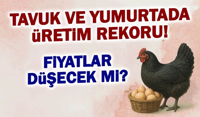 Tavuk ve Yumurtada Üretim Rekoru: Fiyatlar Düşecek mi?
