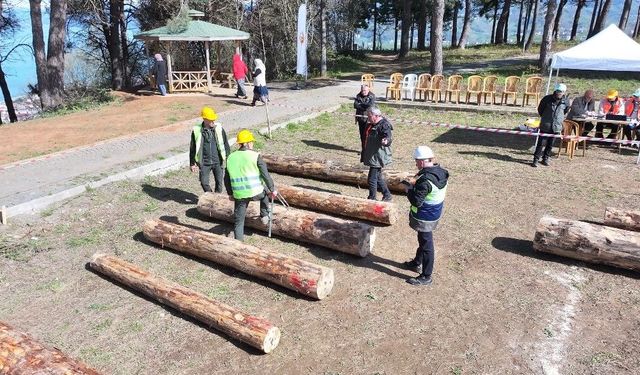 MAÇKA ORMAN İŞLETME MÜDÜRLÜĞÜ’NDEN