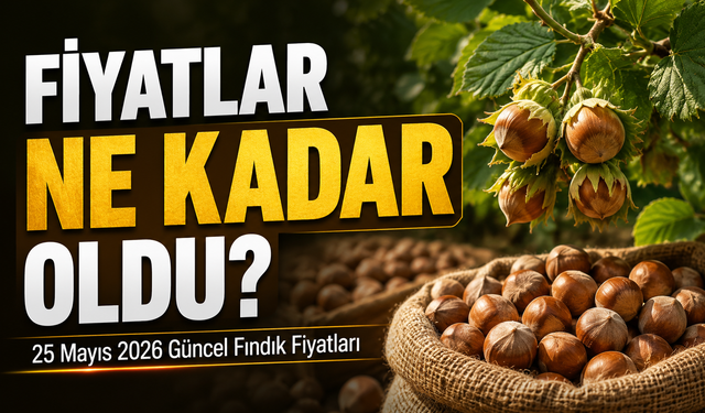 25 Mayıs 2026 Fındık Fiyatları: Serbest Piyasada Fiyatlar Düştü Mü?